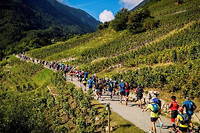 Au coeur de l'Ultra-Trail du Mont-Blanc avec Garmin