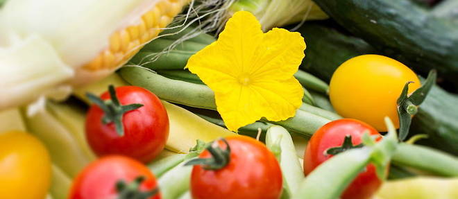 Les legumes, le secret pour vivre longtemps et en bonne sante ?
