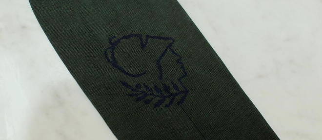 Les chaussettes imaginees pour la nouvelle boutique de l'Academie francaise, de longues paires vertes en fil d'ecosse frappees de l'embleme de l'Institut.
