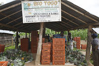 Le Togo &agrave; l&rsquo;assaut du&nbsp;d&eacute;fi de la transformation agroalimentaire