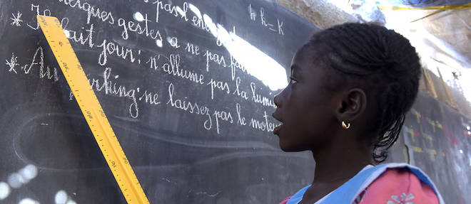 L'edition du livre francophone au Senegal est fortement tiree par le secteur scolaire ou les structures locales beneficient du concours d'institutions dediees comme la Direction du livre et la lecture au ministere de la Culture. 
