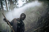 RD Congo: difficile retour &agrave; la vie civile des anciens enfants soldats