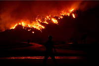 Les feux de forêt sont l'une des causes majeures de ce revirement. (Photo d'illustration)
