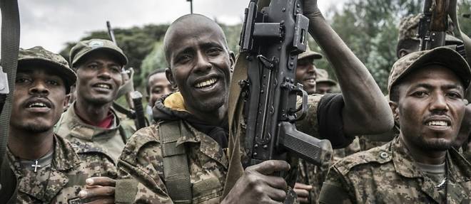L'Ethiopie rappelle ses conditions a d'eventuelles discussions avec les rebelles
