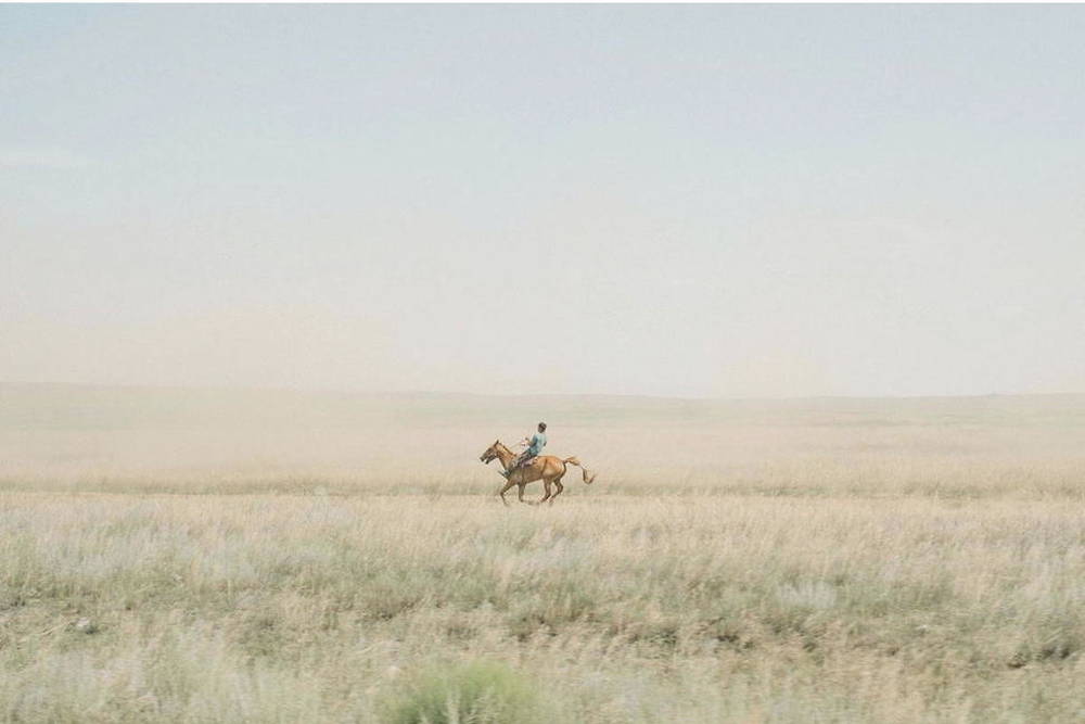 Course de chevaux dans la steppe, 2018.