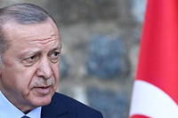 La Turquie punit les &laquo;&nbsp;insultes&nbsp;&raquo; &agrave; Erdogan, la CEDH la pointe du doigt