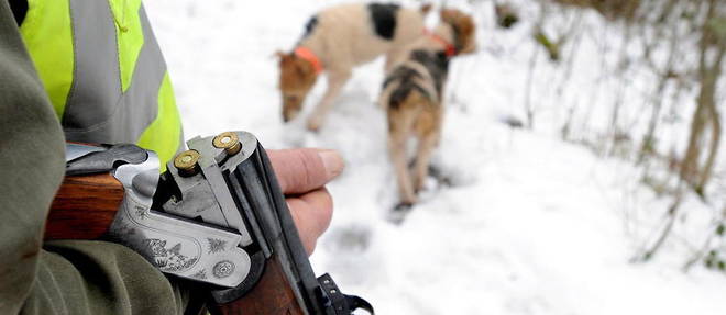 Un chasseur attend avec ses chiens lors d'une battue aux sangliers, le 16 janvier 2010 a Besancon. 
