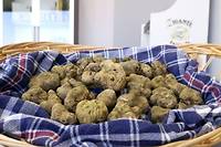 En Croatie, les amateurs de truffes veulent prot&eacute;ger &quot;l'or blanc&quot;