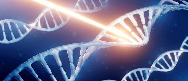 Gardienne des plans de construction du vivant, l'ADN est la molecule du stockage d'information par excellence.
