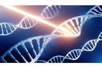 Gardienne des plans de construction du vivant, l’ADN est la molécule du stockage d’information par excellence.
