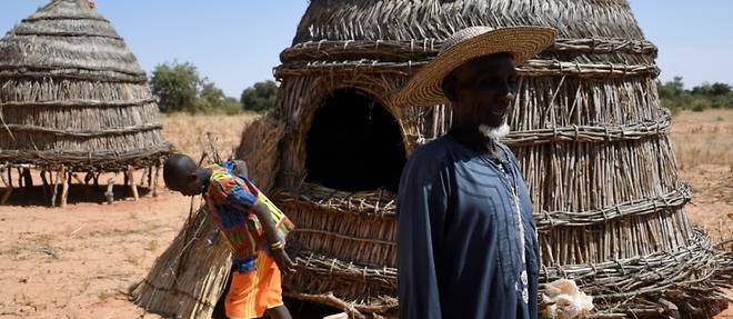 Frappe par la violence jihadiste, le Niger fait aussi face a une grave crise alimentaire