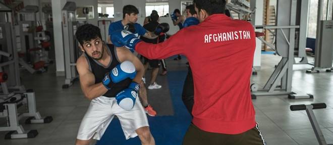 "Une histoire douloureuse": les boxeurs afghans dans les cordes en Serbie