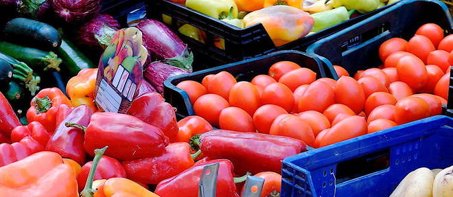 Les legumes qui composent la ratatouille (tomates, courgettes, poivrons, aubergines, oignons) generent un deficit commercial qui a atteint 647 millions d'euros en 2019.
