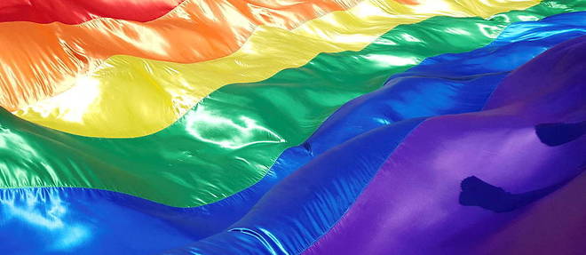 Le drapeau arc-en-ciel, symbole de la fierte LGBTQ+.

