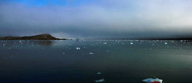 La dirette de parin, habituee des eaux tropicales, a ete retrouvee dans le Svalbard, un archipel norvegien. 
