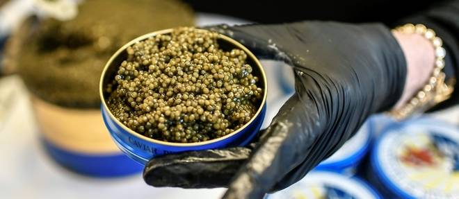 Apero au caviar? En France, les marques oeuvrent a depoussierer le mets "des riches"