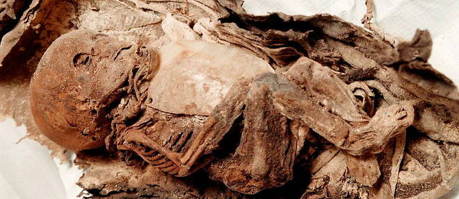 Momie de 2 000 ans des Andes argentines
