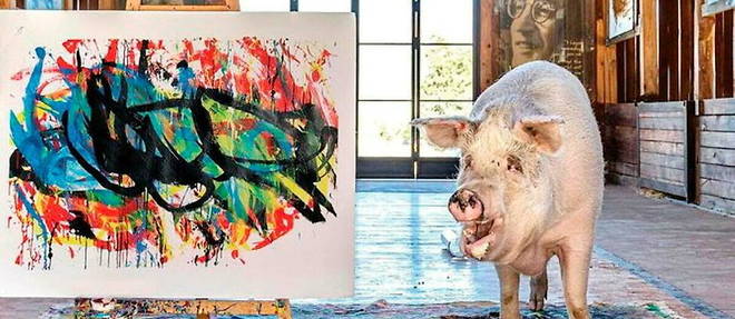 Pigcasso posant a cote de son tableau << Jackson Pollock >> (2020) au Farm Sanctuary SA.
