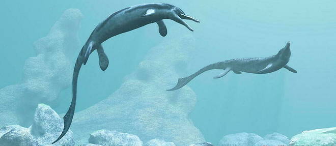 L'ichtyosaure est un predateur marin ayant vecu sur Terre il y a au moins 90 millions d'annees.

