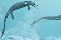 L'ichtyosaure est un prédateur marin ayant vécu sur Terre il y a au moins 90 millions d'années.

