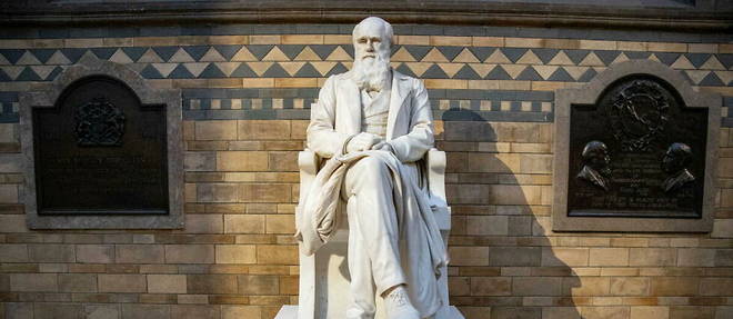 Pour Darwin, c'est donc bien la selection naturelle qui a permis l'emergence de nos << instincts sociaux >> et du << sens moral >>. Rien de darwinien, en revanche, dans une forme d'acceptation de l'elimination des plus faibles par une pandemie.
