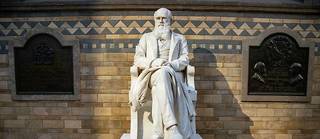            Pour Darwin, c’est donc bien la sélection naturelle qui a permis l’émergence de nos « instincts sociaux » et du « sens moral ». Rien de darwinien, en revanche, dans une forme d’acceptation de l’élimination des plus faibles par une pandémie.
