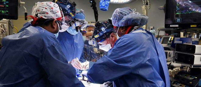 Des chirurgiens americains ont reussi a greffer sur un patient un coeur issu d'un porc genetiquement modifie.
