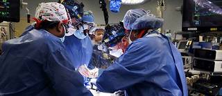 Des chirurgiens américains ont réussi à greffer sur un patient un cœur issu d’un porc génétiquement modifié.
