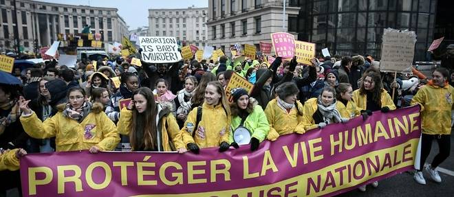 Les anti-IVG defilent a Paris contre l'allongement de la duree legale