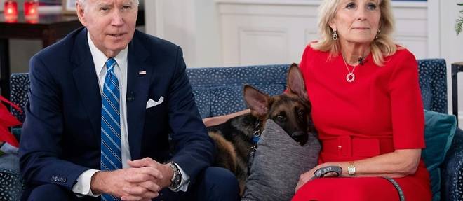 Une balancoire, des briefings, un chien: la Maison Blanche de Biden