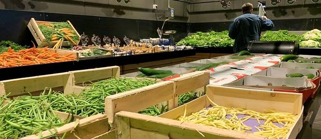 Les prix des fruits et legumes ont bondi de 9% en France entre 2019 et 2021, selon Familles rurales