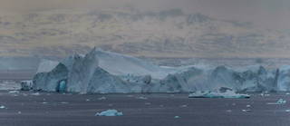 La carotte de glace du Groenland a été prélevée sur 14 mètres de profondeur, les couches de flocons remontaient donc à 1965.
