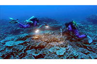 La campagne 1 Océan, menée par l'équipe du Français Alexis Rosenfeld, sous l'égide de l'Unesco, a fait une extraordinaire découverte au large de Tahiti : un grand récif de corail très bien préservé situé à une profondeur inhabituelle. 
