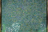 Rosiers sous les arbres (1905). Peinture de Gustav Klimt (1862-1918).
