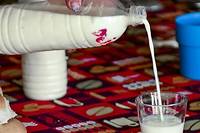 A Cuba, une course d'obstacles pour avoir du lait au petit-d&eacute;jeuner