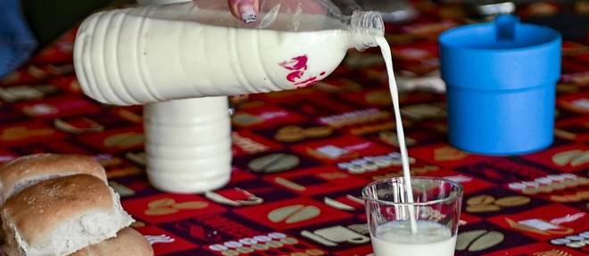 A Cuba, une course d'obstacles pour avoir du lait au petit-dejeuner
