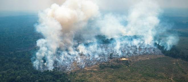Record de chaleur et feux de forets en Amazonie colombienne