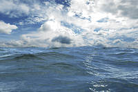 L'océan est un maillon essentiel à la bonne marche de la planète comme principal régulateur du climat.
