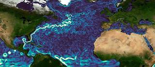 Cette représentation numérique de la vitesse des eaux à 30 mètres de profondeur, faite le 19 janvier, sert de base à diverses simulations algorithmiques des courants océaniques.
