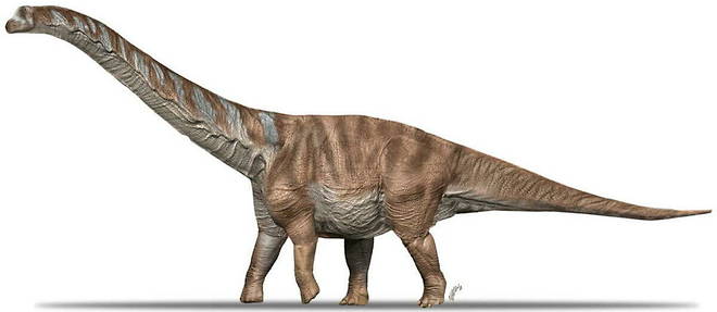 Croquis 3D de l'Abditosaurus kuehnei, partage par les scientifiques dans la revue << Nature Ecology & Evolution >>.
