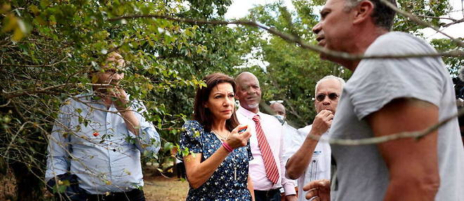 Anne Hidalgo en visite dans une ferme de Vieux Habitants, en Guadeloupe, samedi 12 fevrier 2022.
