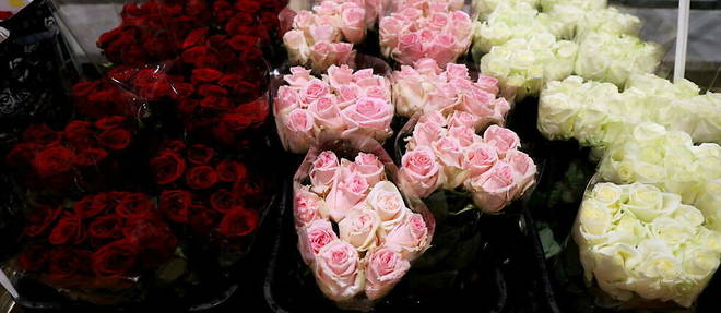 Reportage sur les fleurs a l'approche de la Saint-Valentin 2022 (photo d'illustration).
