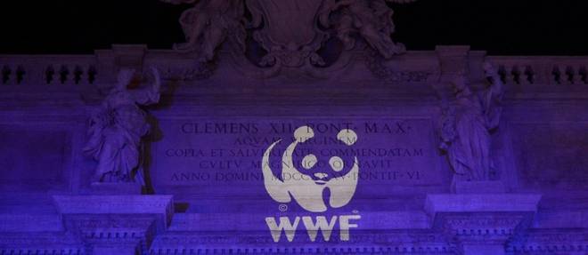 Presidentielle: le WWF veut soumettre l'action publique a un "passe climatique"