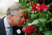 Le prince Charles, à Londres.
