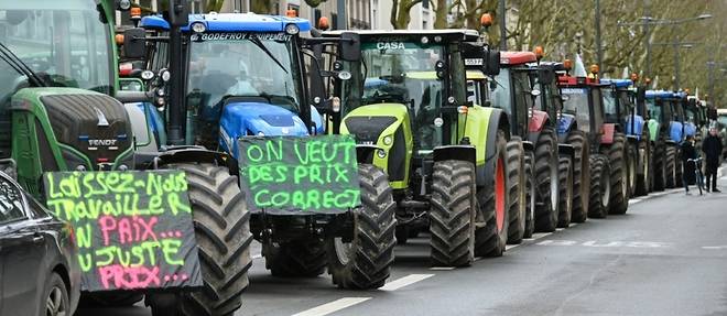 "Plein les bottes": des centaines d'agriculteurs protestent dans le Nord