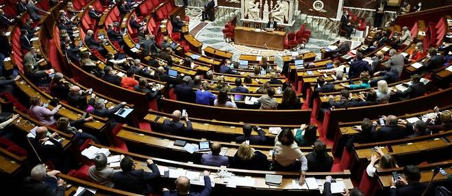 Le Parlement adopte l'allongement du delai de l'IVG