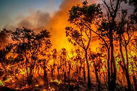 Le monde n'est pas prêt à faire face aux incendies exceptionnels comme ceux qui ont ravagé l'Australie en 2019-2020.

