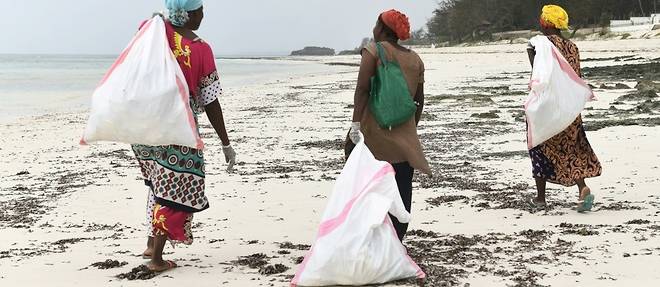 Fleau des plages, les tongs abandonnees deviennent objets d'arts au Kenya