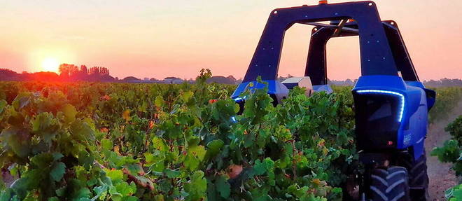 Ce robot permet d'enjamber les vignes et de travailler le sol au plus pres.
