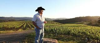 Pierre Seillan, créateur du vin Vérité, Sonoma Valley, Californie.
